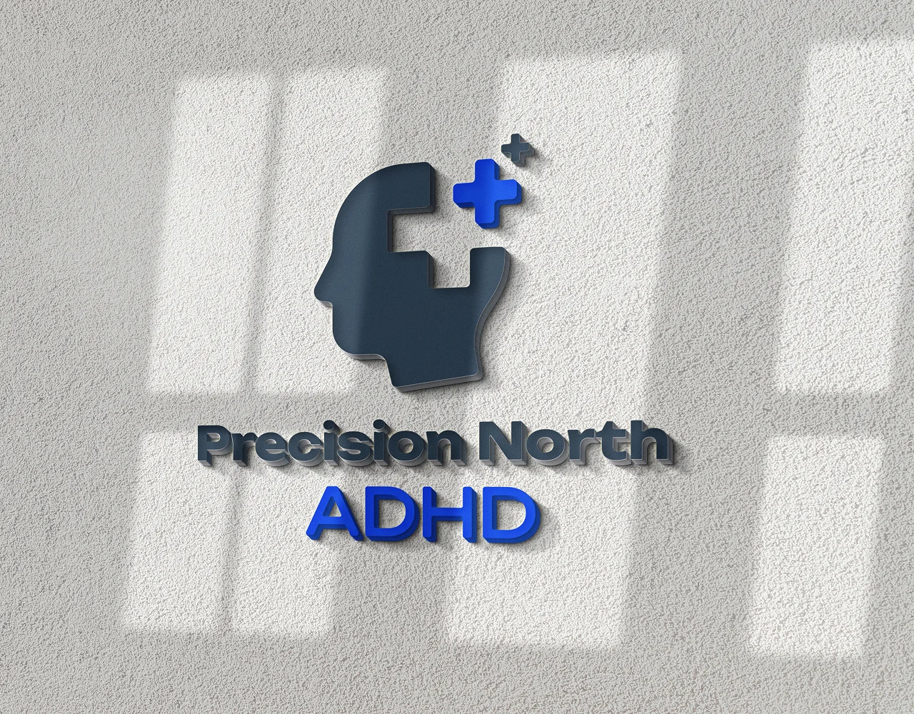 Temporary Precision North brand presentation placeholder